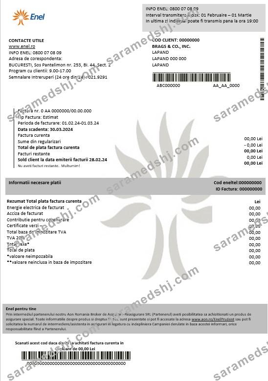 Romania Enel electricity proof of address business utility bill template in Word and PDF formats (2)